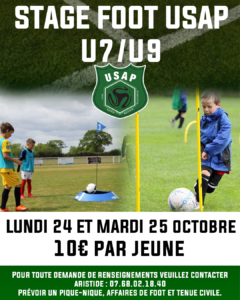 USAP POUANCE US AUTONOME POUANCE FLYER U7 INSTA